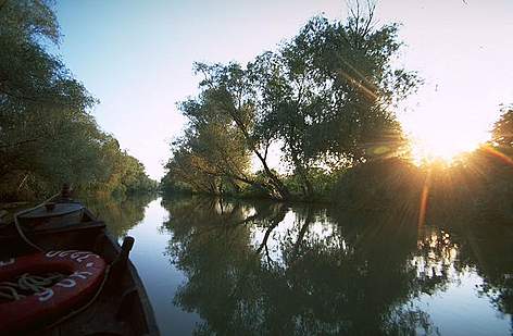 One of the channels of the Lower Danube. Some side branches are threatened by planned engineering ...
© Anton Vorauer WWF rel=
