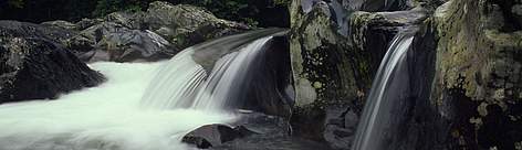 Little Pigeon River, Great Smoky Mountains National Park, Tennessee, US.
© Kevin SCHAFER / WWF rel=