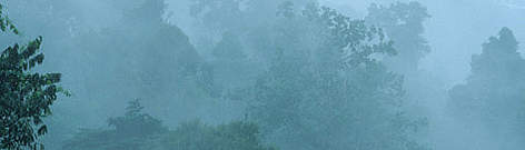 Cloud and rain in the canopy of a tropical rainforest in the Amazon. South America / ©: WWF-Canon / Martin HARVEY Cloud and rain in the canopy of a tropical rainforest in the Amazon. South America rel=