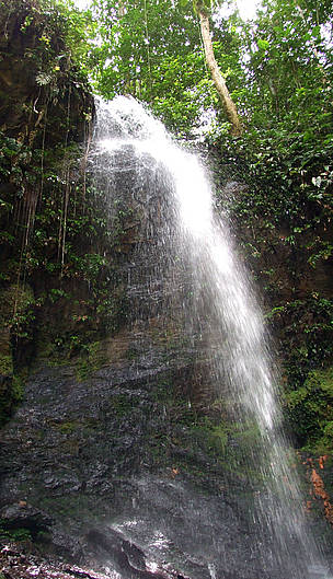 Waterfall at Brownsberg Nature Park in Suriname, South America.
© Jerrel Pinas
© Jerrel Pinas