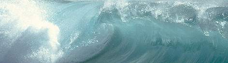 Breaking waves, Tenerife, Canary Islands. Spain.
© Anton Vorauer / WWF rel=