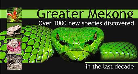 New species discovered in the Greater Mekong
© René Ries New species discovered in the Greater Mekong rel=