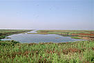 The Bei Dagang Nature Reserve on the Yellow Sea is an important winter ground for migrating birds. Tianjin Province, China.