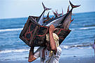 Fisherman with tuna catch, Philippines.