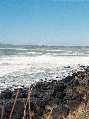 North Island West Coast scenery, near Raglan. Habitat of Maui's dolphin (Cephalorhynchus hectori ...
© Tangi Corveler / WWF North Island West Coast scenery, near Raglan. Habitat of Maui's dolphin (Cephalorhynchus hectori ...
© Tangi Corveler / WWF