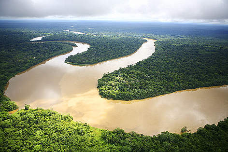 A living Amazon...
© Brent Stirton/ Getty Images / WWF-UK rel=