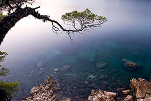 Alonissos island, Greece
© Wild Wonders of Europe /Stefano Unterthiner / WWF
© Wild Wonders of Europe /Stefano Unterthiner / WWF