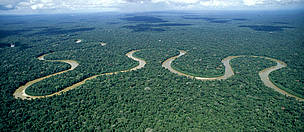 Rio Pinquen, Manu National Park, Amazon Rainforest, Peru.
© WWF / André BÄRTSCHI Rio Pinquen, Manu National Park, Amazon Rainforest, Peru.
© WWF / André BÄRTSCHI