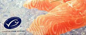 ฉลาก MSC ...
© WWF / Elma Okic An MSC label on a package of frozen salmon indicates that it is certified sustainable seafood.
© WWF / Elma Okic