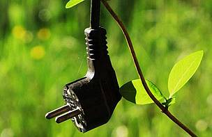 Power plug entwined by climbing plant.
© WWF/Cathy Bjork
© WWF/Cathy Bjork