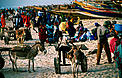 Beach in Mauritania © Mark Edwards/WWF Beach in Mauritania