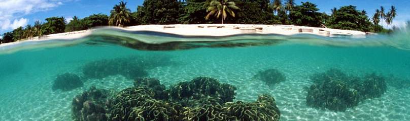 © Jürgen Freund / WWF
© Jürgen Freund / WWF