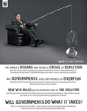 What's the catch postcard / ©: WWF / ©: WWF