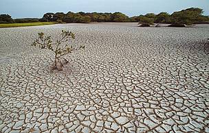Severe droughts might double in South-Asia over the coming years. © WWF / Roger LeGUEN Severe droughts might double in South-Asia over the coming years.