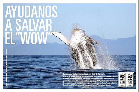 Ayudar a salvar el rel=