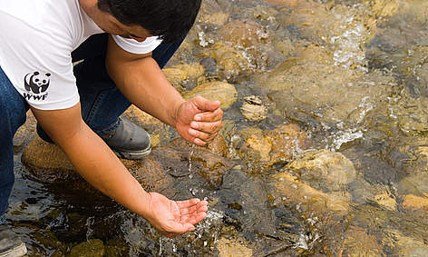 El programa Pago Equitativo por Servicios Ambientales de WWF busca preservar la integridad de los ... / ©: Claudio Vasquez/WWF rel=