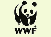 Logo WWF - Panda
© WWF
© WWF