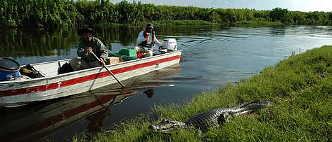 Navigating on one of Iténez Protected Area’s rivers, Beni, Bolivia. A Caiman crocodilus yacare in ...
© WWF / Gustavo YBARRA Navigating on one of Iténez Protected Area’s rivers, Beni, Bolivia. A <i>Caiman crocodilus ... rel=