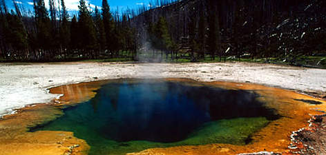 Emerald Pool. Geyser Country with Thermal Areas and Boiling Water. Yellowstone National Park, ...
© WWF / Fritz PÖLKING Emerald Pool. Geyser Country with Thermal Areas and Boiling Water. Yellowstone National Park, ... rel=