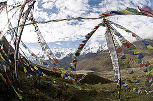 Zero Poaching Nepal celebrates Zero Poaching Year! | WWF